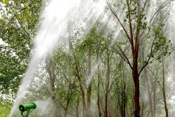 让杨树快速死掉的方式，可以每天往杨树根部浇氢氧化钠