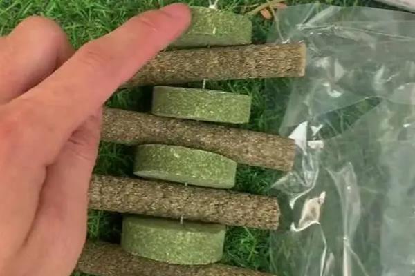 饲养兔子的注意事项，需提供磨牙工具避免它啃咬兔笼