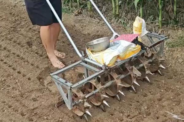 玉米的株行距，稀植大棒型品种为35厘米×60厘米