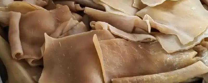 黄牛皮和水牛皮的区别，表皮毛孔和手感均不同