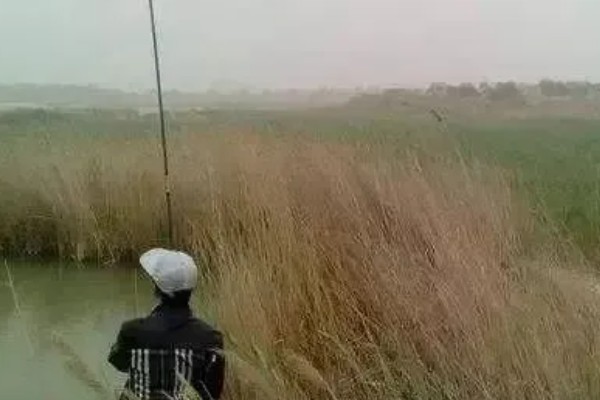 大风天气的钓鱼方法，要在避风或背风位置垂钓