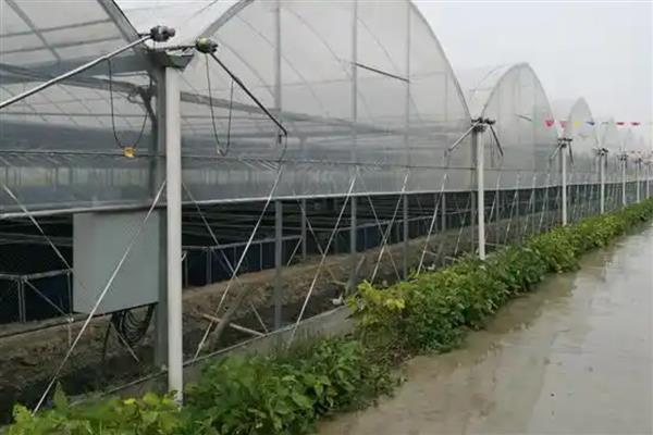 水蛭的养殖技术,要定期巡视养殖场所