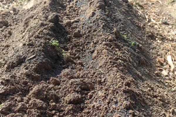 有机肥有什么作用，可长时间为作物提供营养