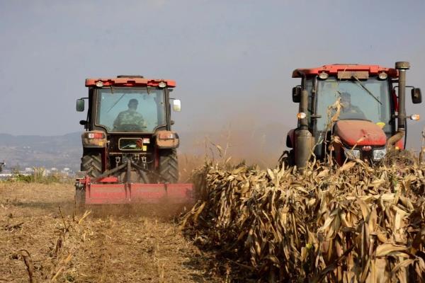 有机肥有什么作用，可长时间为作物提供营养