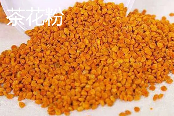 茶花粉的食用方法，适合用温开水冲服