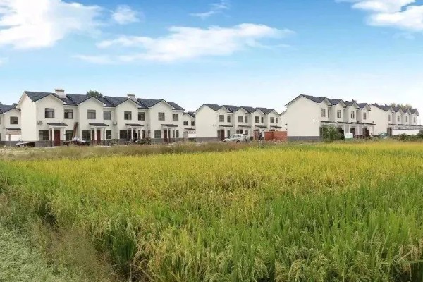 农村乡村振兴建设存在的问题，人口老龄化程度深