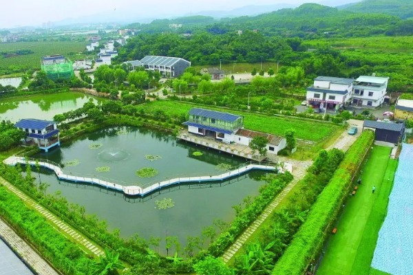 农村乡村振兴建设存在的问题，人口老龄化程度深