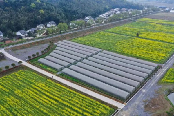 农村乡村振兴建设存在的问题，人口老龄化程度深