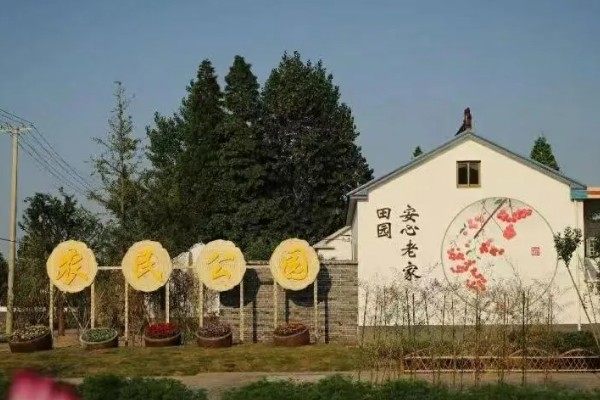 农村乡村振兴建设存在的问题，人口老龄化程度深