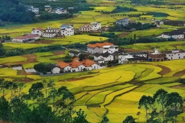 农村乡村振兴建设存在的问题，人口老龄化程度深