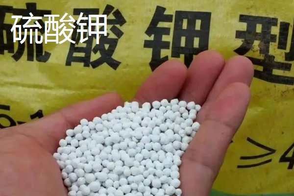 钾肥的作用，能起到促进光合作用、提高抗逆性等效果