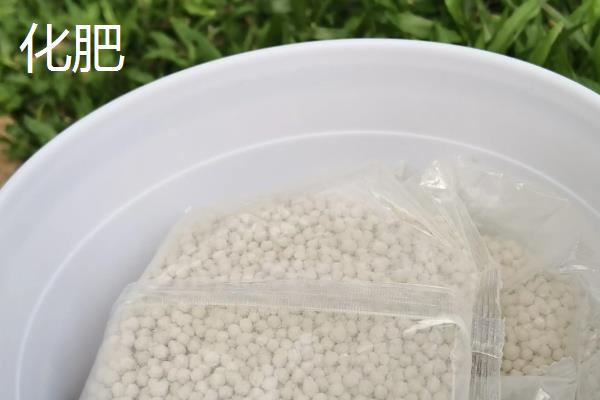 生物有机肥和化肥的区别,前者养分齐全、后者只有一种或几种营养
