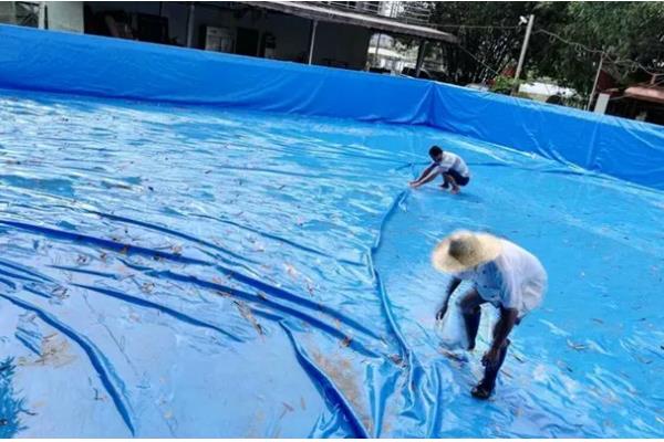 帆布鱼池怎么高密度养鱼,给鱼苗投喂小鱼小虾为主