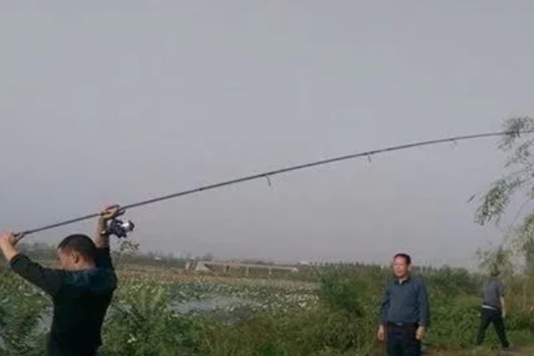 浮钓鲈鱼的深度,保持在1-1.5米