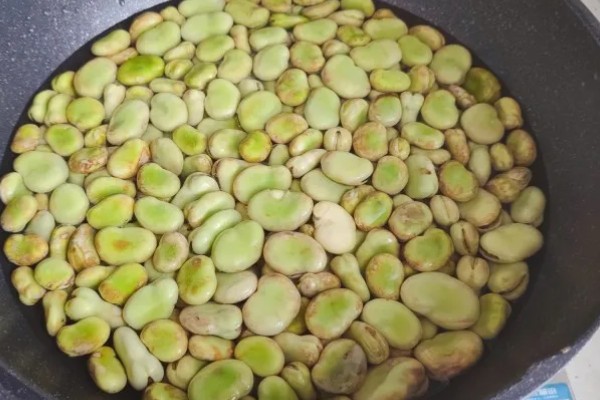 蚕豆的品种，常见的有慈溪大白蚕、成胡10号等