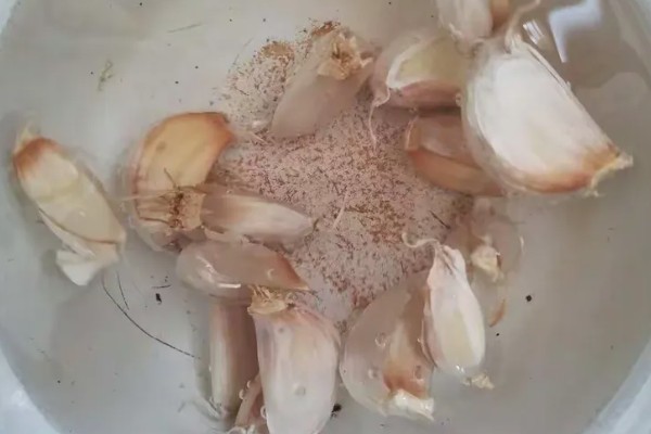红头香蒜苗怎么播种，撒播种子后浇水并让它接受散射光