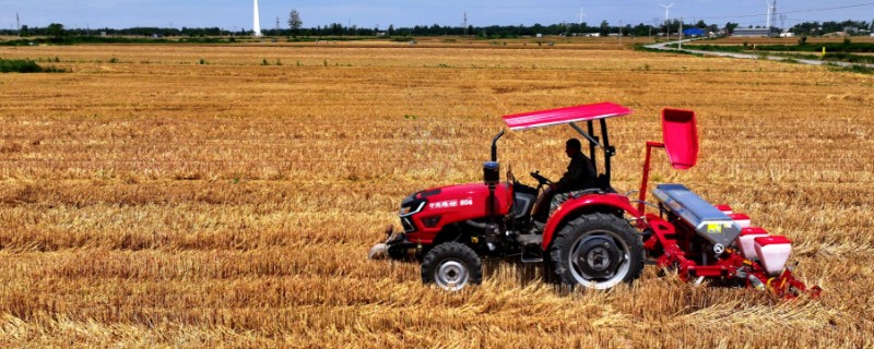 夏玉米麦茬免耕直播技术，可采用大小行播种