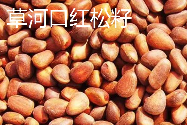 辽宁本溪市的特产，桓仁大米曾是宫廷贡米