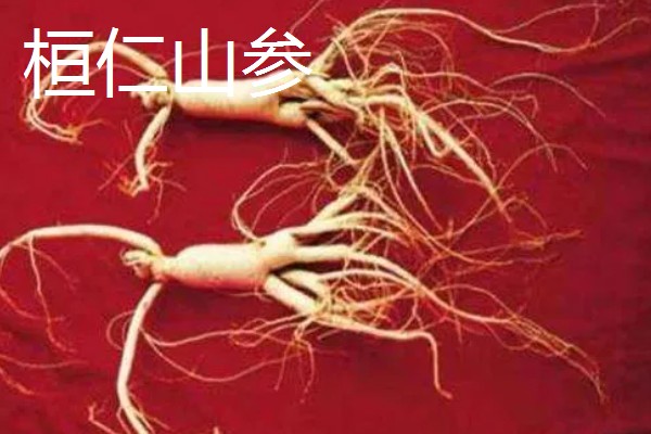 辽宁本溪市的特产，桓仁大米曾是宫廷贡米