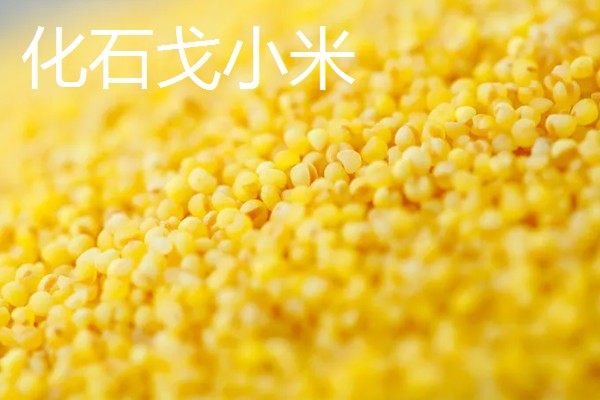 辽宁本溪市的特产，桓仁大米曾是宫廷贡米
