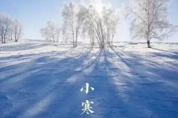 小寒节气有什么谚语,小寒暖、立春雪