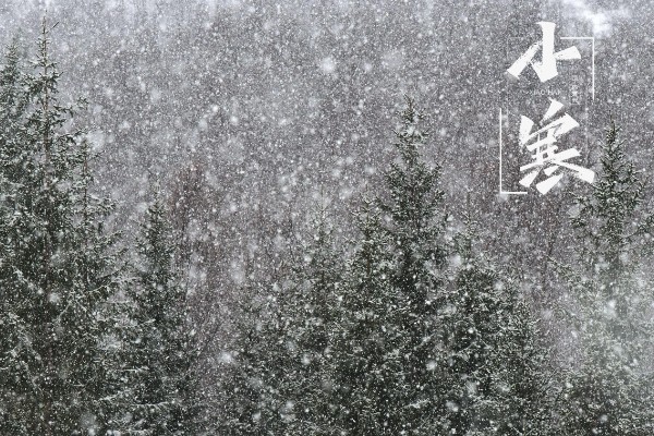 小寒节气有什么谚语,小寒暖、立春雪