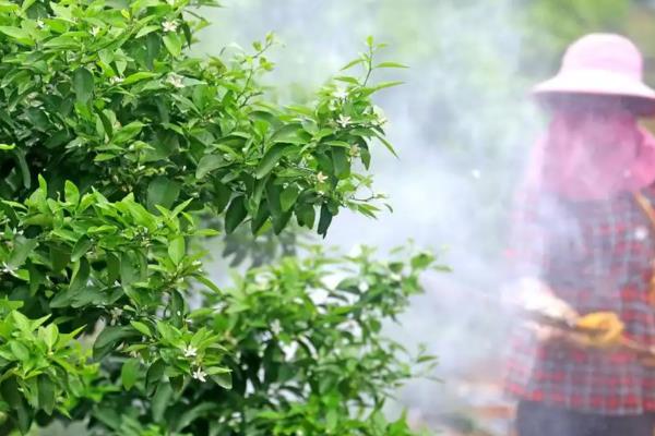 噻菌铜与什么不可混用，不能与有强碱性农药混用