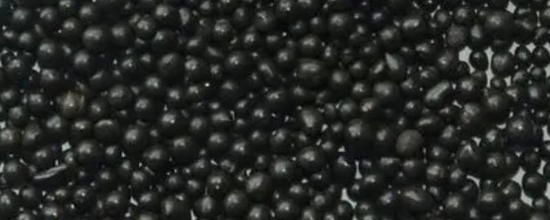 黑色颗粒花肥的用法，埋在远离根部的地方