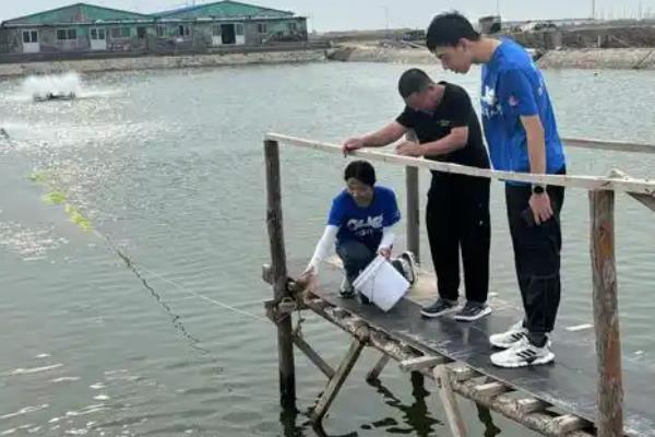 草鱼如何养殖,放养鱼苗前进行消毒工作