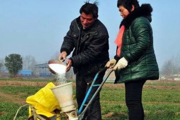 春季小麦的管理技术,要以保墒、提墒为重点
