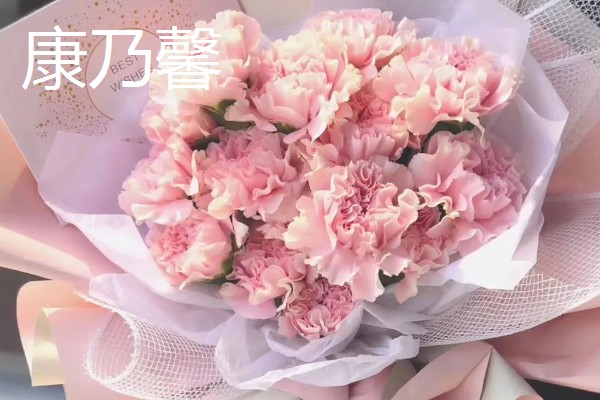 母亲生日可以送什么花，推荐康乃馨、长寿花等