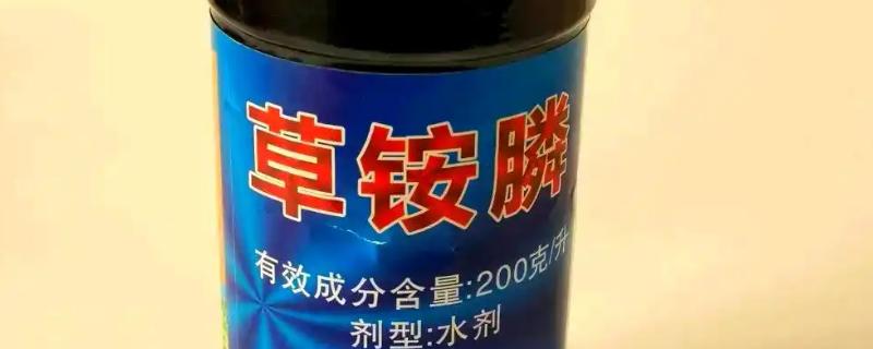 打完草铵膦过多长时间下雨没事，经过6小时药液会被杂草吸收