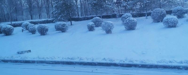 小寒节气有什么谚语，小寒暖、立春雪