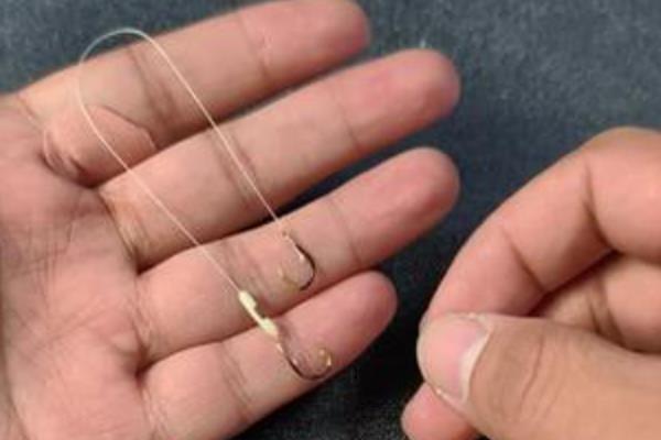 0.8子线搭配多大的主线，建议搭配1.2的主线