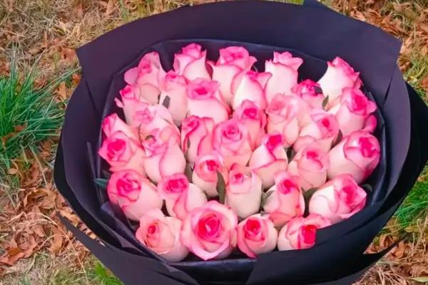 爱莎玫瑰的花语，代表我心中只有你、相爱相杀等含义
