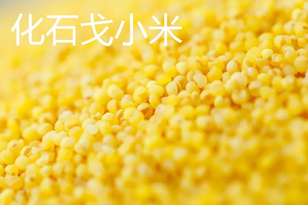 调兵山市的特产，清河全鱼宴远近闻名