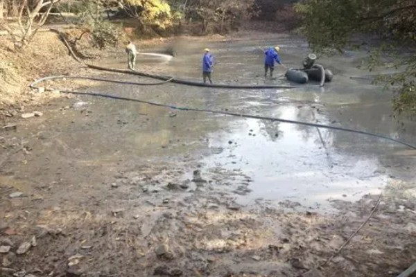 直接用自来水养螃蟹会不会死亡，会导致螃蟹缺氧或氯气中毒而死