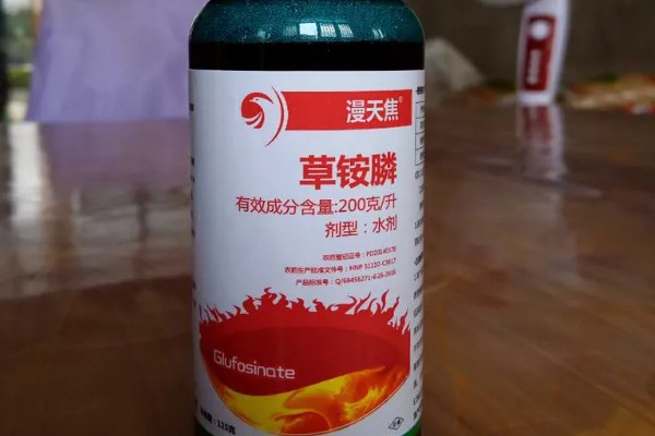 打完草铵膦过多长时间下雨没事，经过6小时药液会被杂草吸收