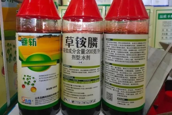 打完草铵膦过多长时间下雨没事，经过6小时药液会被杂草吸收