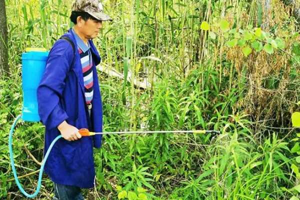 打完草铵膦过多长时间下雨没事，经过6小时药液会被杂草吸收