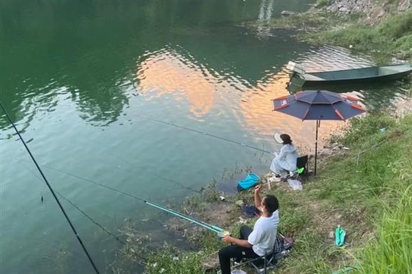 黑坑钓鲤鱼适合用海夕钩吗，使用效果可能不理想