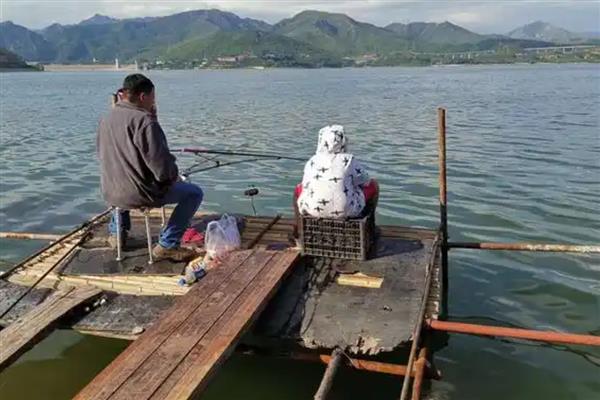 黑坑钓鲤鱼适合用海夕钩吗，使用效果可能不理想