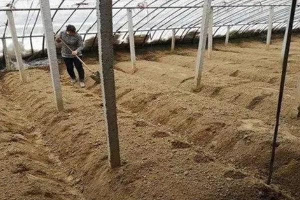 蔬菜施锌肥要注意什么,做底肥每年只要使用一次